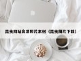 文昌昆虫网站高清照片素材（昆虫图片下载）